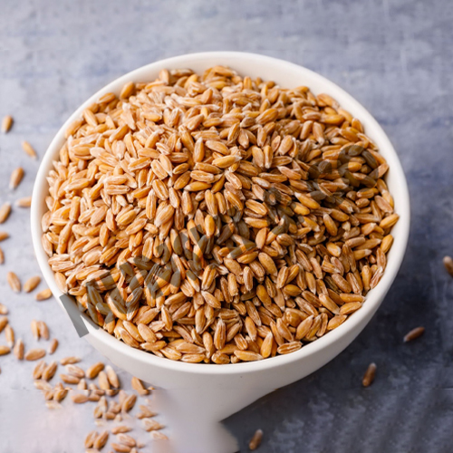 certified golden brown raw wheat grain supplier